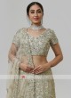 Heavy Embroidered Net Choli Suit